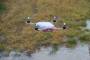 modellbau:lockcopter:flug:luxtreffen20140301_lock5.jpg